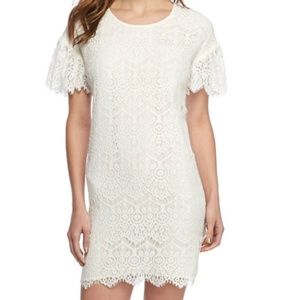 New THE LIMITED Lace Sheath Dress Sz 10